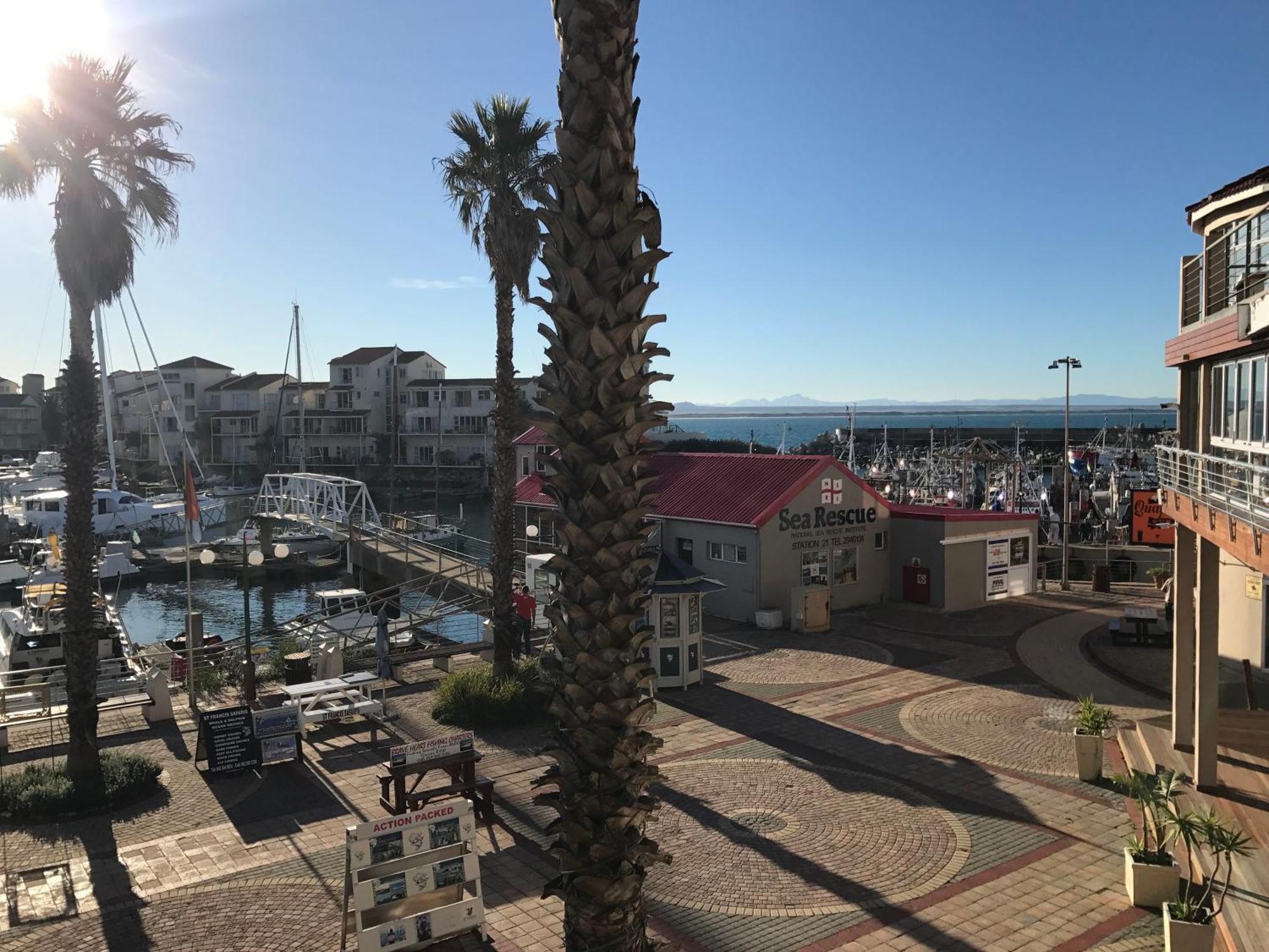 Ships Bell At Port St Francis Διαμέρισμα St Francis Bay Εξωτερικό φωτογραφία